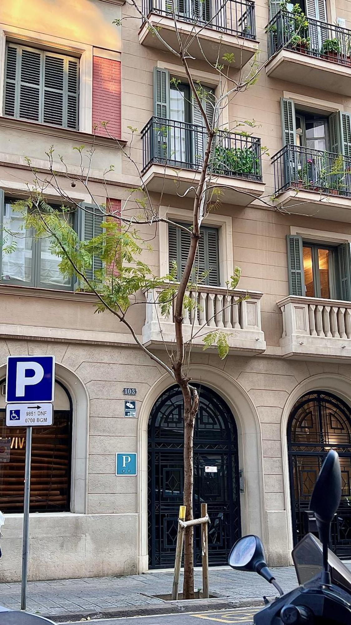 Hostal Madrazo Barcelona Eksteriør bilde